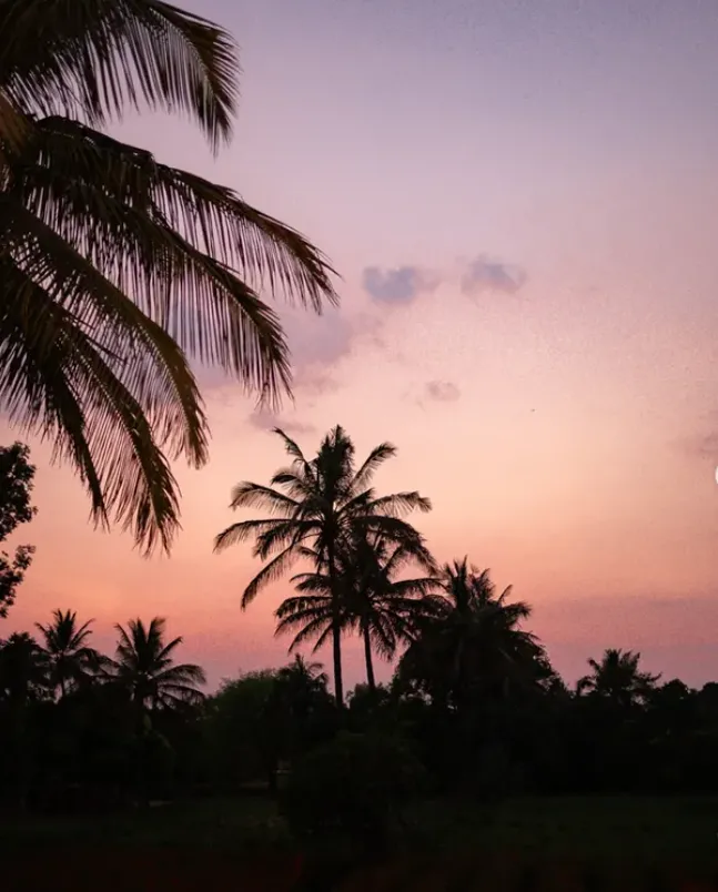 A Scenic Escape: Discovering Peaceful Stays Near Nandi Hills